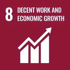 SDG 8